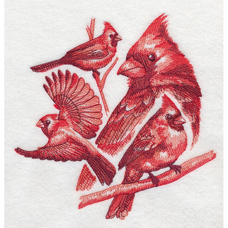 Cardinal Sketch|7″ x 6.89″ / 177.89mm x 174.9mm|5.98″ x 5.89″ / 151.94mm x 149.57mm|4.95″ x 4.89″ / 125.84mm x 124.1mm|All Sizes