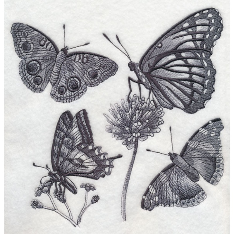 Butterfly Sketch|7.8″ x 7.78″ / 198.19mm x 197.66mm|6.9″ x 6.88″ / 175.33mm x 174.84mm|5.88″ x 5.86″ / 149.42mm x 148.94mm|4.88″ x 4.87″ / 123.99mm x 123.58mm|All Sizes