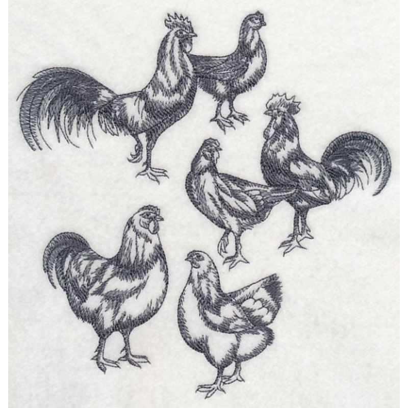 Country Chicken Sketch|7.78″ x 7.56″ / 197.61mm x 192.05mm|7.08″ x 6.89″ / 179.94mm x 174.89mm|6.02″ x 5.86″ / 153mm x 148.74mm|4.99″ x 4.86″ / 126.85mm x 123.36mm|All Sizes