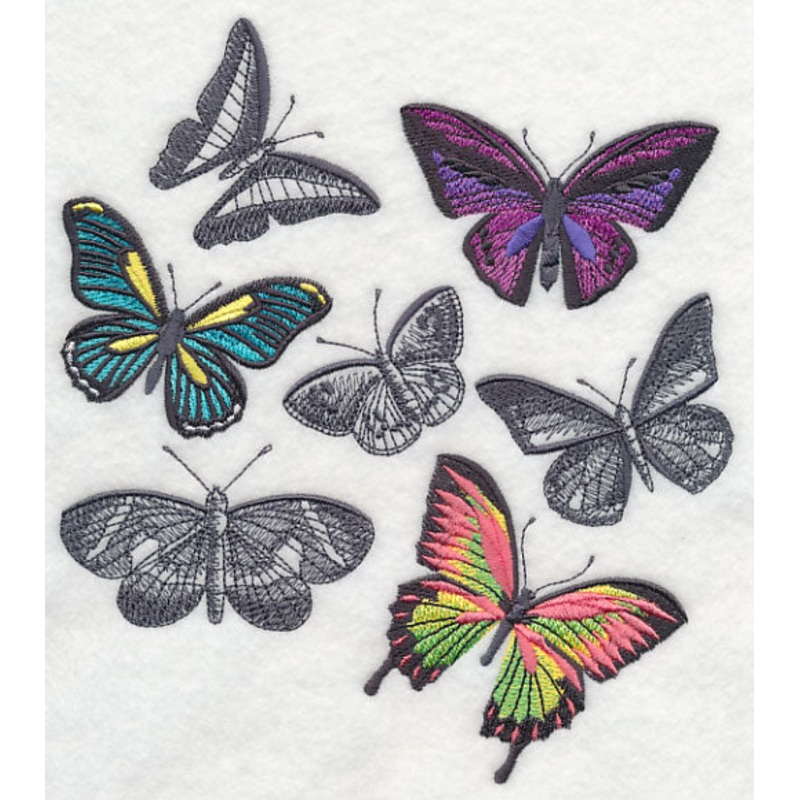 Fluttering Colors|7.7″ x 6.9″ / 195.57mm x 175.26mm|6.54″ x 5.86″ / 166.07mm x 148.84mm|5.45″ x 4.88″ / 138.38mm x 124.06mm|All Sizes