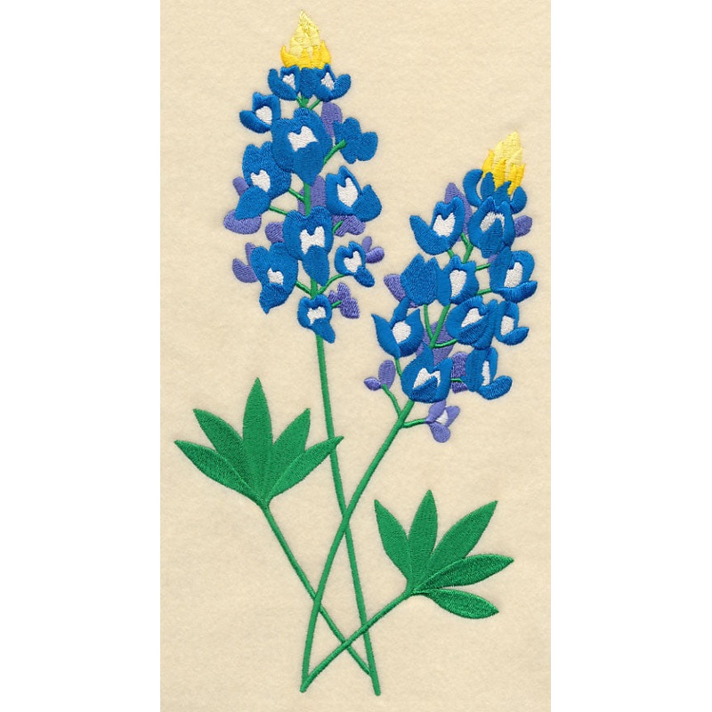 Bluebonnet Pair|11.75″ x 6.27″ / 298.52mm x 159.23mm|9.4″ x 5.02″ / 238.81mm x 127.42mm|7.83″ x 4.18″ / 198.84mm x 106.17mm|6.86″ x 3.66″ / 174.15mm x 92.9mm|All Sizes