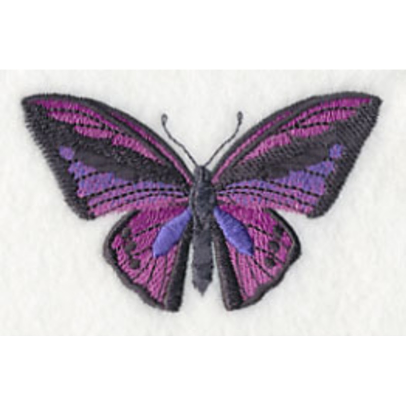 Fluttering Colors 2|2.03″ x 3.23″ / 51.48mm x 82.07mm|1.44″ x 2.29″ / 36.57mm x 58.08mm|All Sizes