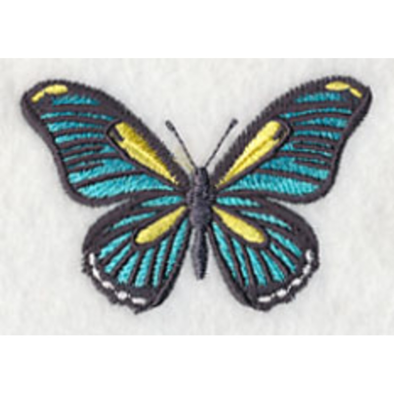 Fluttering Colors 3|1.97″ x 2.9″ / 50.06mm x 73.63mm|1.42″ x 2.05″ / 35.98mm x 52.19mm|All Sizes