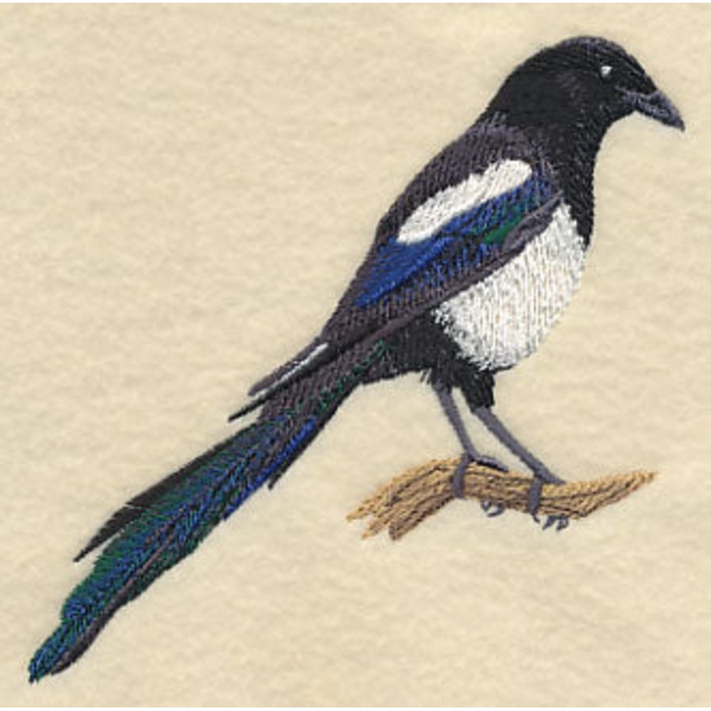 Black-Billed Magpie|4.35″ x 4.22″ / 110.54mm x 107.17mm|3.86″ x 3.73″ / 97.93mm x 94.83mm|All Sizes