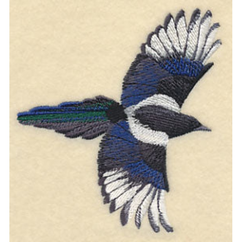 Black-Billed Magpie In Flight|3.86″ x 3.53″ / 97.93mm x 89.75mm|2.76″ x 2.53″ / 70.16mm x 64.3mm|All Sizes