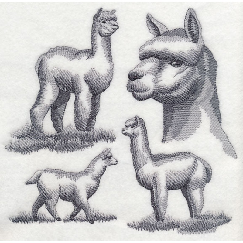 Alpaca Sketch|7.56″ x 7.78″ / 192.13mm x 197.71mm|6.92″ x 7.12″ / 175.88mm x 180.87mm|5.87″ x 6.03″ / 149.11mm x 153.27mm|4.87″ x 5″ / 123.71mm x 126.98mm|All Sizes
