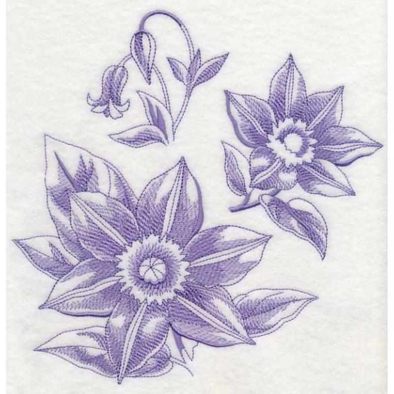 Clematis Botanical (Toile)|7.77″ x 7.78″ / 197.26mm x 197.61mm|6.91″ x 6.92″ / 175.43mm x 175.73mm|5.82″ x 5.82″ / 147.72mm x 147.95mm|4.85″ x 4.86″ / 123.28mm x 123.32mm|3.88″ x 3.88″ / 98.46mm x 98.45mm|All Sizes