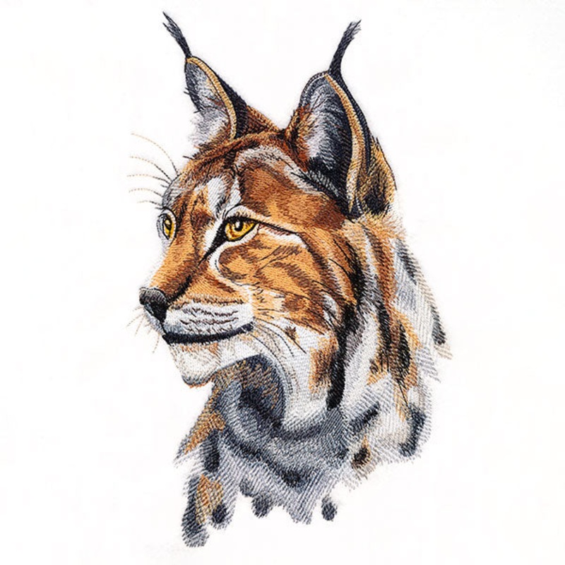Lynx Portrait|11.11″ x 6.86″ / 282.13mm x 174.15mm|9.4″ x 5.79″ / 238.68mm x 147.08mm|7.79″ x 4.8″ / 197.91mm x 121.98mm|6.85″ x 4.2″ / 174.03mm x 106.77mm|All Sizes