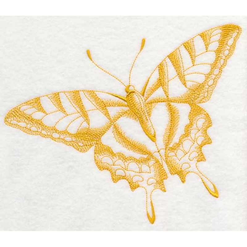 Tiger Swallowtail Butterfly (Toile)