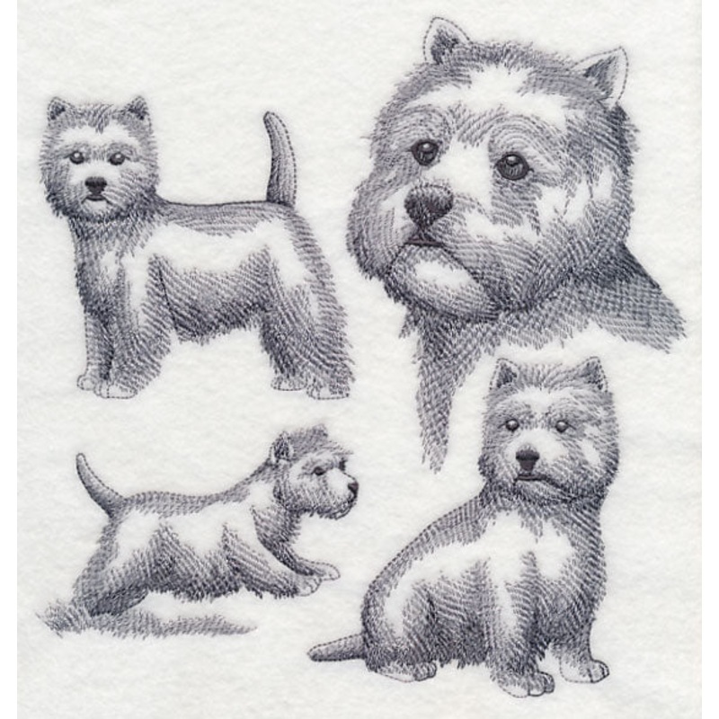 West Highland Terrier Sketch|7.8″ x 7.5″ / 198.12mm x 190.5mm|7.19″ x 6.9″ / 182.63mm x 175.26mm|6.13″ x 5.86″ / 155.7mm x 148.84mm|5.04″ x 4.85″ / 128.02mm x 123.19mm|All Sizes