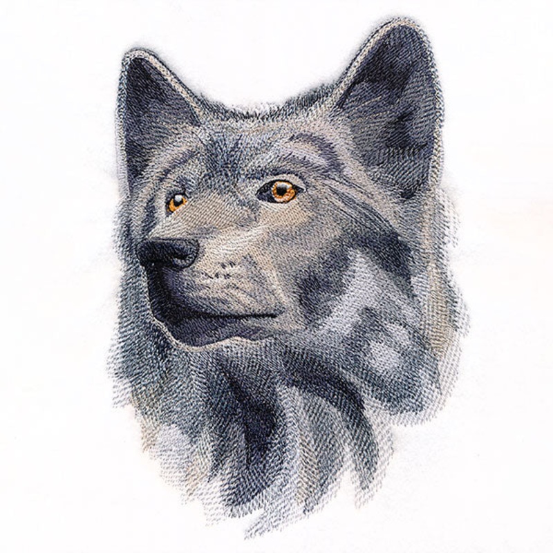 Wild Wolf Portrait|9.69″ x 6.87″ / 246.17mm x 174.44mm|7.79″ x 5.52″ / 197.92mm x 140.19mm|6.84″ x 4.87″ / 173.83mm x 123.57mm|All Sizes