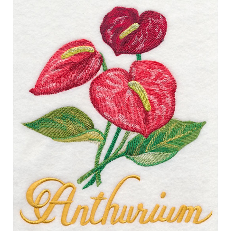 Anthurium in Watercolor|7.8″ x 6.91″ / 198.05mm x 175.42mm|6.61″ x 5.86″ / 167.84mm x 148.72mm|5.48″ x 4.86″ / 139.19mm x 123.44mm|All Sizes