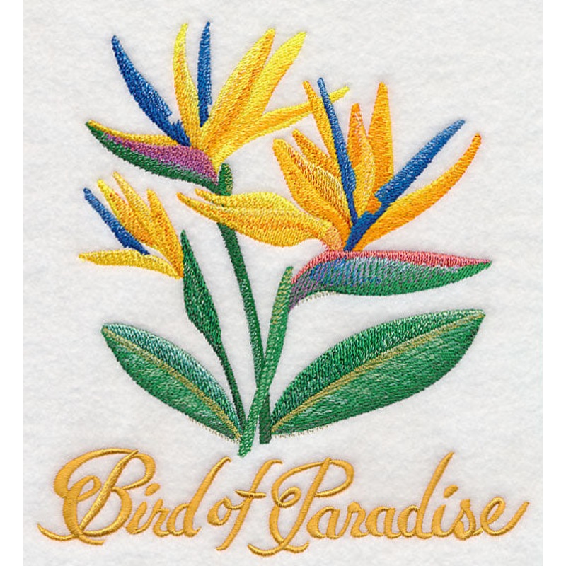 Bird of Paradise Flower in Watercolor