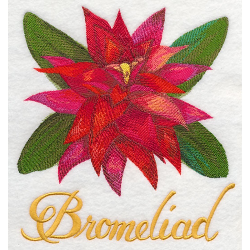 Bromeliad in Watercolor|7.47″ x 6.89″ / 189.69mm x 174.93mm|6.34″ x 5.86″ / 161.15mm x 148.76mm|5.27″ x 4.85″ / 133.9mm x 123.13mm|All Sizes