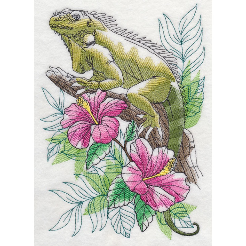 Tropical Iguana Sketch|9.73″ x 6.9″ / 247.14mm x 175.26mm|7.78″ x 5.52″ / 197.61mm x 140.21mm|6.83″ x 4.85″ / 173.48mm x 123.19mm|All Sizes
