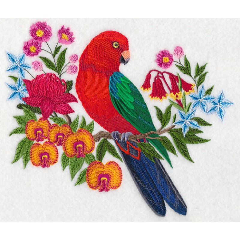 Australian King Parrot with Flowers