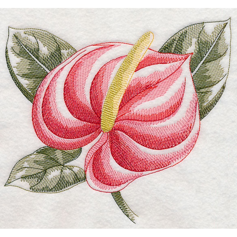 Anthurium Beauty|7.39″ x 7.8″ / 187.63mm x 198.08mm|6.9″ x 7.28″ / 175.26mm x 185.03mm|5.85″ x 6.18″ / 148.59mm x 156.88mm|4.85″ x 5.12″ / 123.19mm x 130.02mm|3.65″ x 3.85″ / 92.61mm x 97.73mm|All Sizes