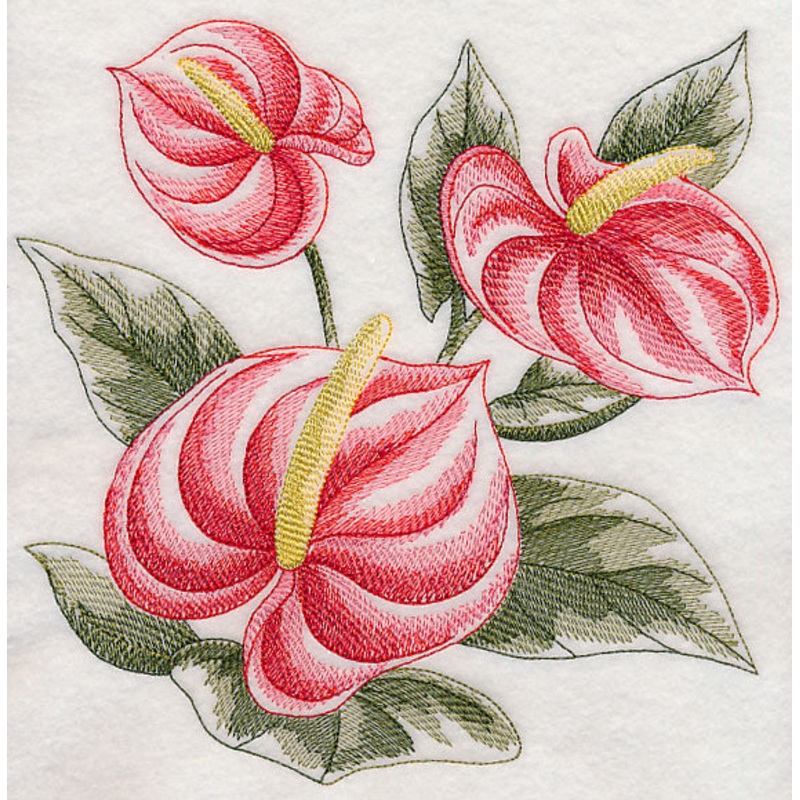 Anthurium Sketch|7.79″ x 7.8″ / 197.83mm x 198.22mm|6.9″ x 6.91″ / 175.23mm x 175.46mm|5.85″ x 5.86″ / 148.55mm x 148.75mm|4.85″ x 4.86″ / 123.11mm x 123.33mm|3.85″ x 3.85″ / 97.73mm x 97.9mm|All Sizes