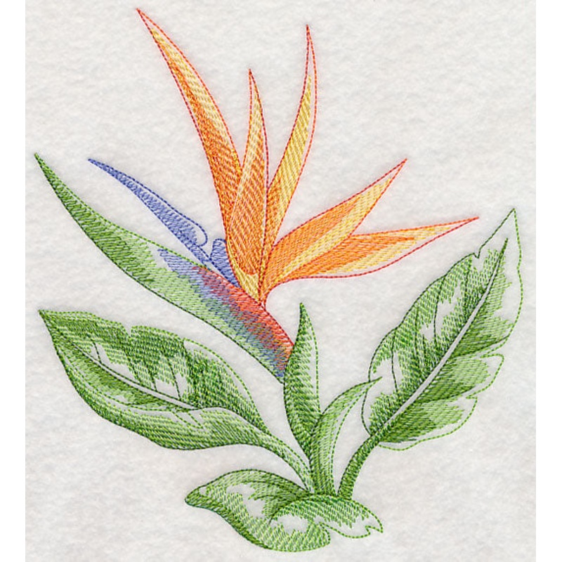 Bird of Paradise Beauty|7.8″ x 6.98″ / 198.09mm x 177.3mm|7.26″ x 6.5″ / 184.44mm x 165.09mm|6.53″ x 5.85″ / 165.97mm x 148.56mm|5.42″ x 4.85″ / 137.6mm x 123.17mm|3.85″ x 3.44″ / 97.78mm x 87.5mm|All Sizes