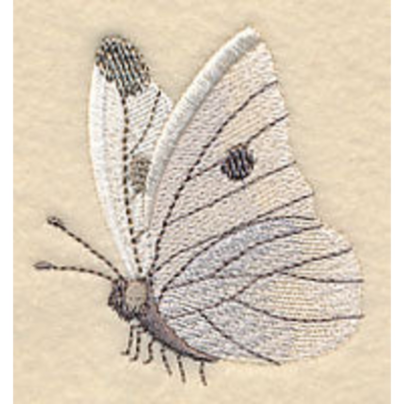 Cabbage White Butterfly|2.47″ x 2.28″ / 62.68mm x 57.91mm