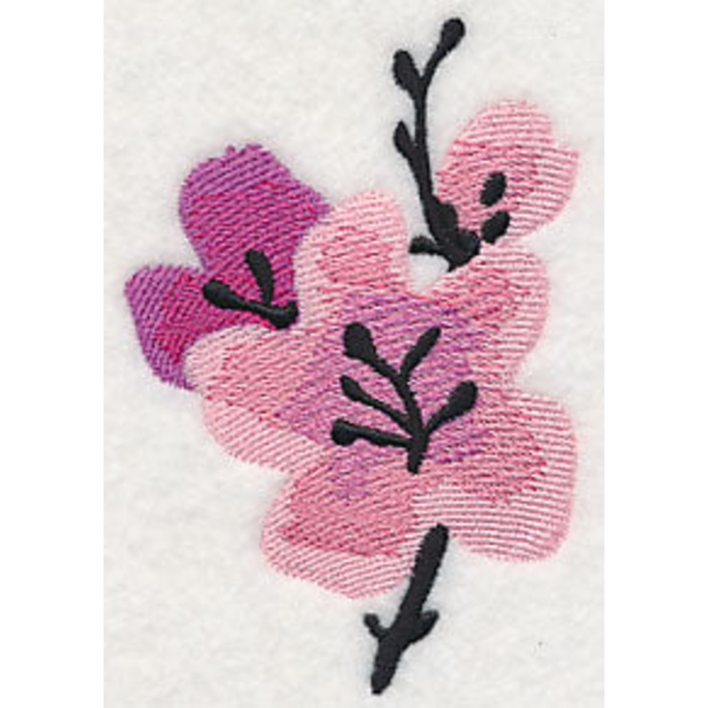 Cherry Blossoms in Bloom|3.85″ x 2.65″ / 97.86mm x 67.43mm