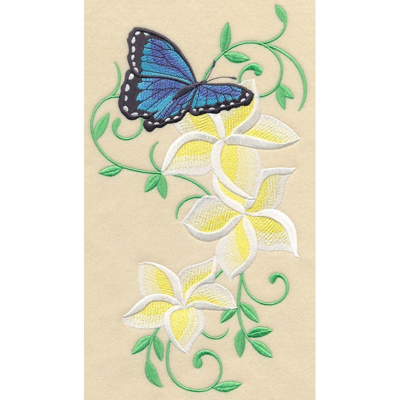 Frangipani and Butterfly Flourish