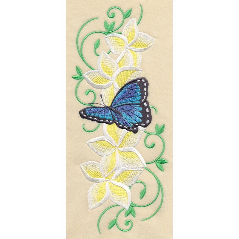 Frangipani and Butterfly Plume