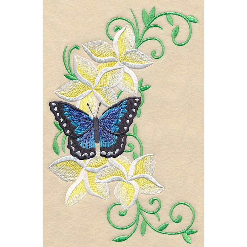 Frangipani and Butterfly Spray