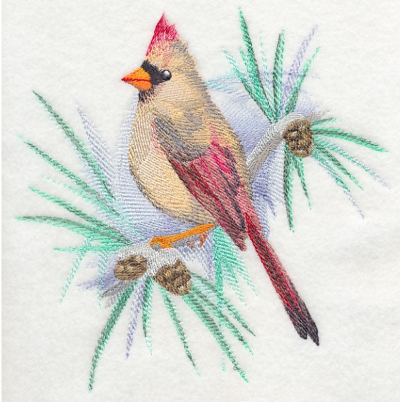 Cardinal (Female) in Watercolor