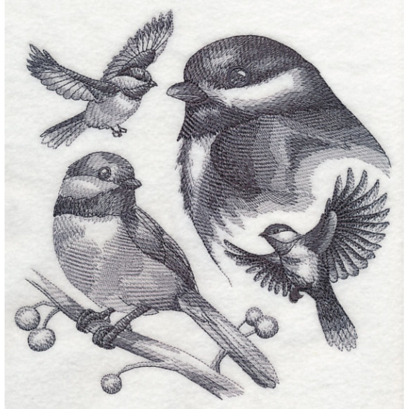 Chickadee Sketch|7.78″ x 7.6″ / 197.65mm x 192.97mm|7″ x 6.83″ / 177.74mm x 173.51mm|5.96″ x 5.82″ / 151.47mm x 147.83mm|4.98″ x 4.86″ / 126.47mm x 123.5mm|All Sizes
