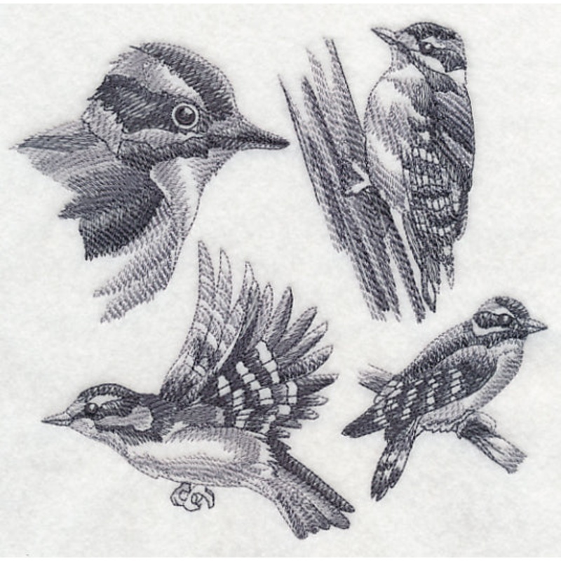 Downy Woodpecker Sketch|6.9″ x 7.26″ / 175.18mm x 184.45mm|5.85″ x 6.16″ / 148.53mm x 156.55mm|4.82″ x 5.09″ / 122.44mm x 129.24mm|All Sizes