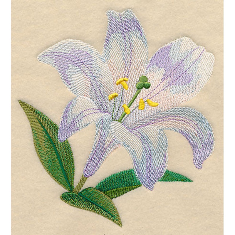 White Lily Bloom in Watercolor