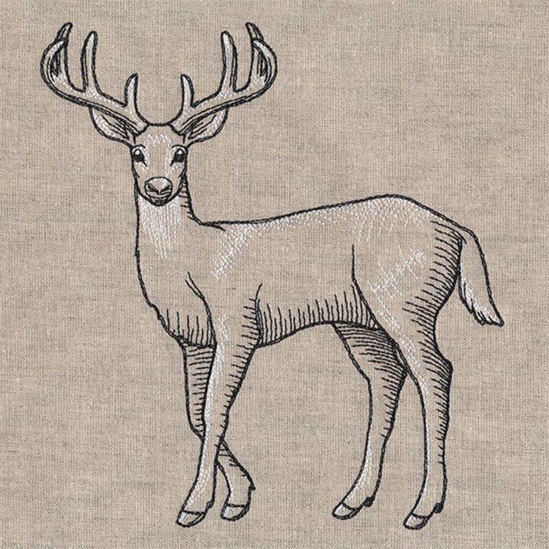 Wild Deer Etching|7.51″ x 6.85″ / 190.69mm x 173.95mm|6.41″ x 5.85″ / 162.85mm x 148.56mm|5.31″ x 4.85″ / 134.98mm x 123.17mm|All Sizes