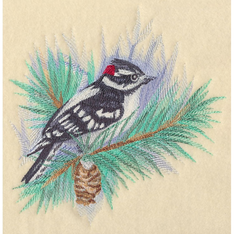 Downy Woodpecker in Watercolor