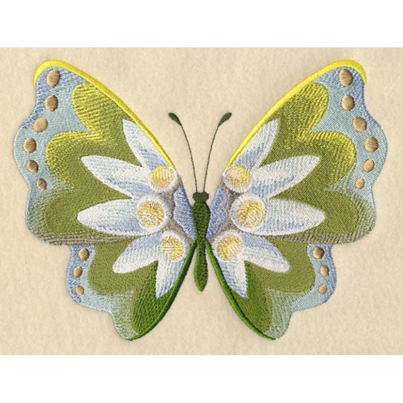 Edelweiss Butterfly in Watercolor