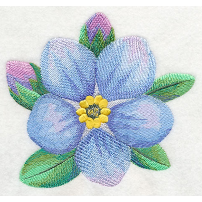 Forget-Me-Not Bloom in Watercolor