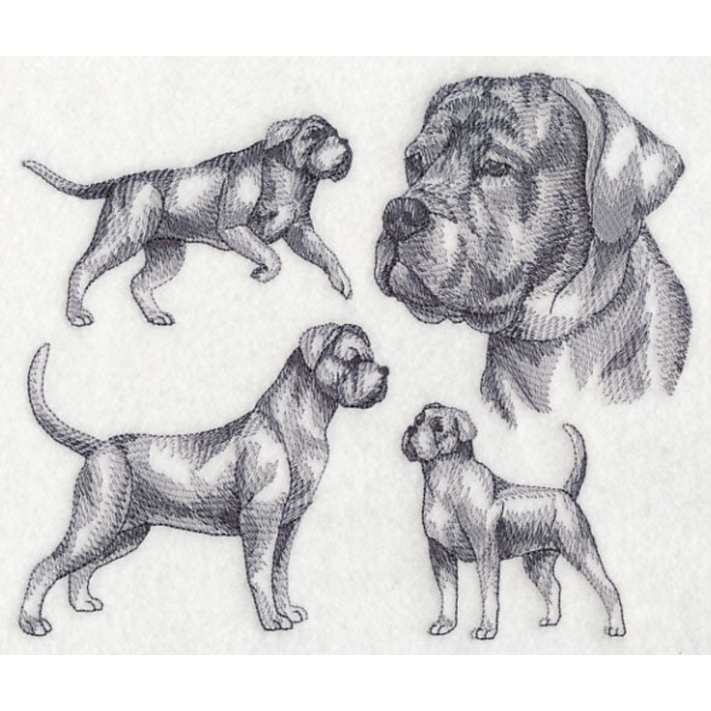 Cane Corso Sketch|6.6″ x 7.8″ / 167.72mm x 198.11mm|5.85″ x 6.91″ / 148.51mm x 175.42mm|4.85″ x 5.73″ / 123.12mm x 145.46mm|All Sizes