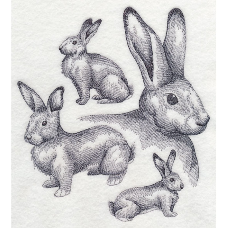 Flemish Giant Rabbit Sketch|7.76″ x 6.9″ / 197.16mm x 175.27mm|6.58″ x 5.85″ / 167.14mm x 148.64mm|5.46″ x 4.85″ / 138.56mm x 123.16mm|All Sizes