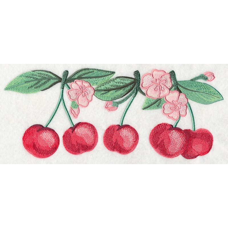 Cherry Blossoms Border in Watercolor
