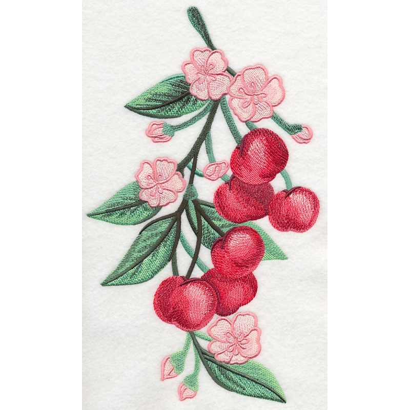 Cherry Blossoms Spray in Watercolor