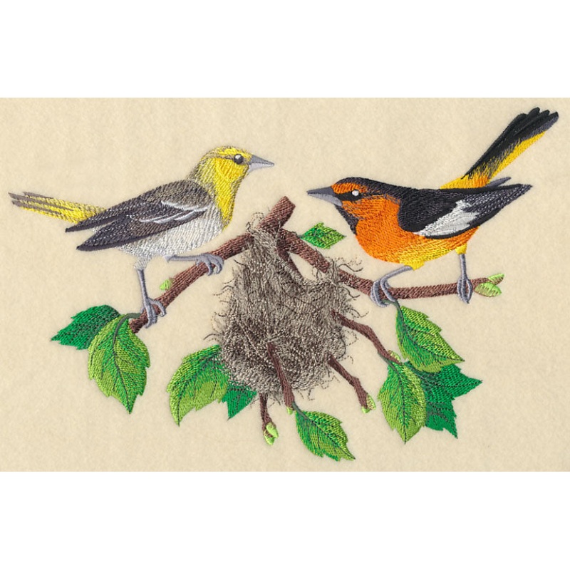 Bullock’s Orioles and Nest|6.89″ x 10.55″ / 175.05mm x 267.93mm|5.86″ x 8.97″ / 148.9mm x 227.82mm|5.1″ x 7.8″ / 129.44mm x 198.1mm|4.48″ x 6.85″ / 113.83mm x 174.07mm|All Sizes
