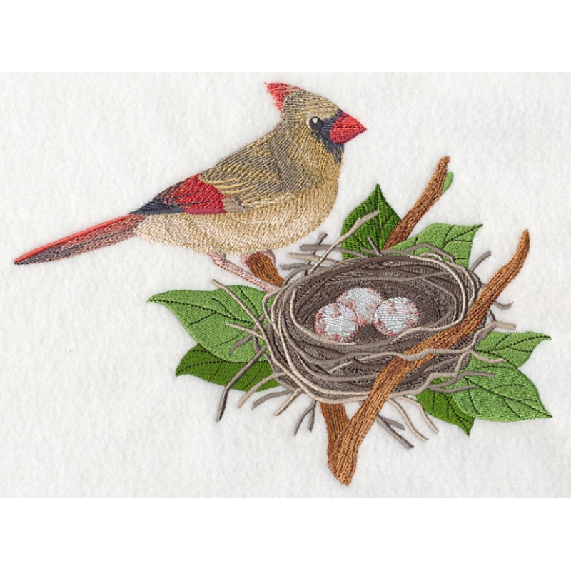 Cardinal and Nest|6.88″ x 9.26″ / 174.72mm x 235.08mm|5.8″ x 7.81″ / 147.44mm x 198.37mm|4.85″ x 6.53″ / 123.14mm x 165.79mm|All Sizes