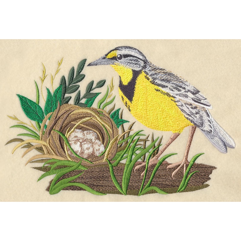 Eastern Meadowlark and Nest|6.89″ x 10.3″ / 175.03mm x 261.73mm|5.86″ x 8.77″ / 148.9mm x 222.63mm|5.21″ x 7.79″ / 132.27mm x 197.85mm|4.59″ x 6.86″ / 116.48mm x 174.22mm|All Sizes