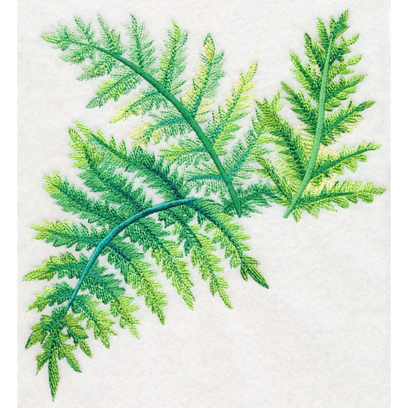 Ferns in Watercolor|7.8″ x 7.59″ / 198mm x 192.82mm|7.08″ x 6.9″ / 179.89mm x 175.13mm|6.01″ x 5.86″ / 152.56mm x 148.82mm|4.98″ x 4.85″ / 126.5mm x 123.08mm|All Sizes