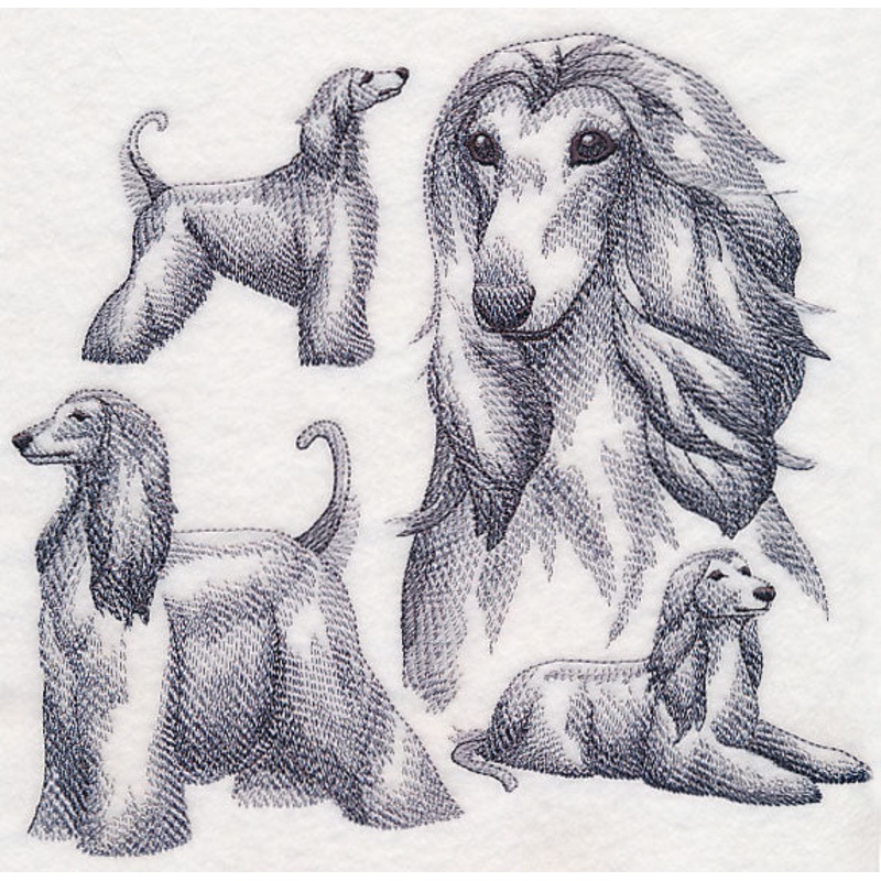 Afghan Hound Sketch|7.49″ x 7.8″ / 190.25mm x 198.12mm|6.9″ x 7.19″ / 175.26mm x 182.63mm|5.85″ x 6.09″ / 148.59mm x 154.69mm|4.85″ x 5.05″ / 123.19mm x 128.27mm|All Sizes