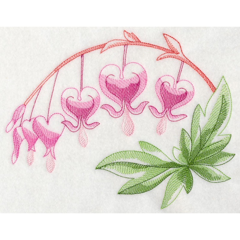 Bleeding Hearts Beauty|6.9″ x 8.71″ / 175.26mm x 221.28mm|5.85″ x 7.39″ / 148.59mm x 187.61mm|4.84″ x 6.11″ / 123.02mm x 155.32mm|3.05″ x 3.85″ / 77.44mm x 97.72mm|All Sizes