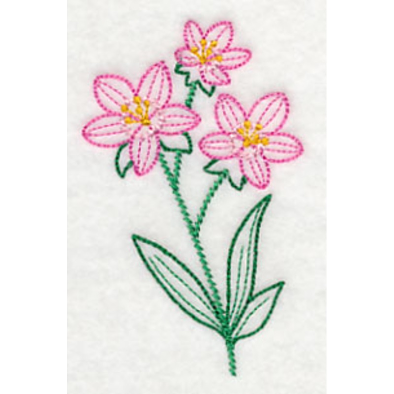 Centaurium (Vintage)|3.86″ x 2.4″ / 98.12mm x 61.01mm