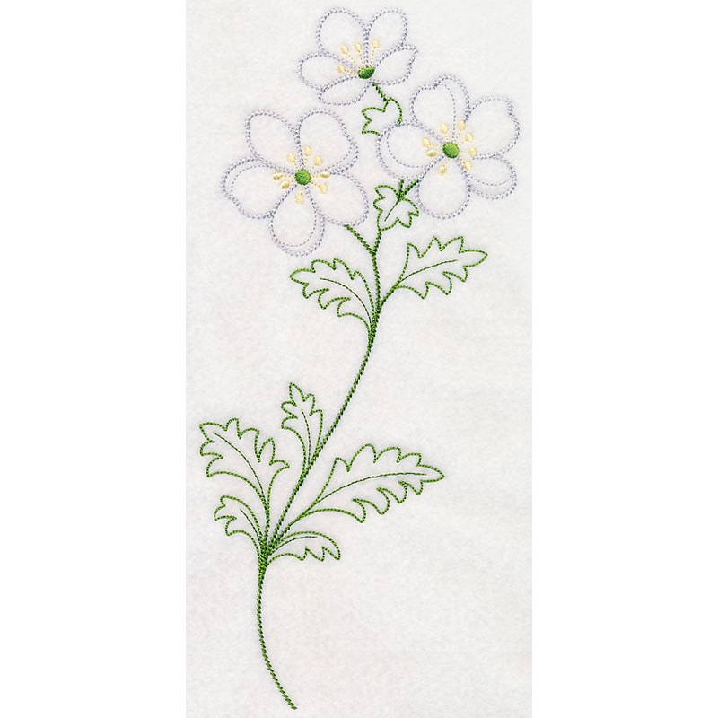 Cliff Rose (Vintage)|11.74″ x 5.1″ / 298.1mm x 129.57mm|9.39″ x 4.09″ / 238.41mm x 103.77mm|7.79″ x 3.39″ / 197.81mm x 86.18mm|6.88″ x 3″ / 174.69mm x 76.12mm|All Sizes