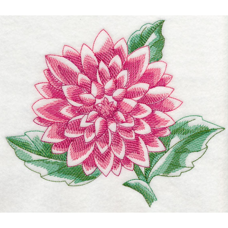 Dahlia Beauty|6.55″ x 7.78″ / 166.26mm x 197.61mm|5.84″ x 6.94″ / 148.37mm x 176.36mm|4.85″ x 5.77″ / 123.18mm x 146.43mm|3.24″ x 3.85″ / 82.23mm x 97.79mm|All Sizes