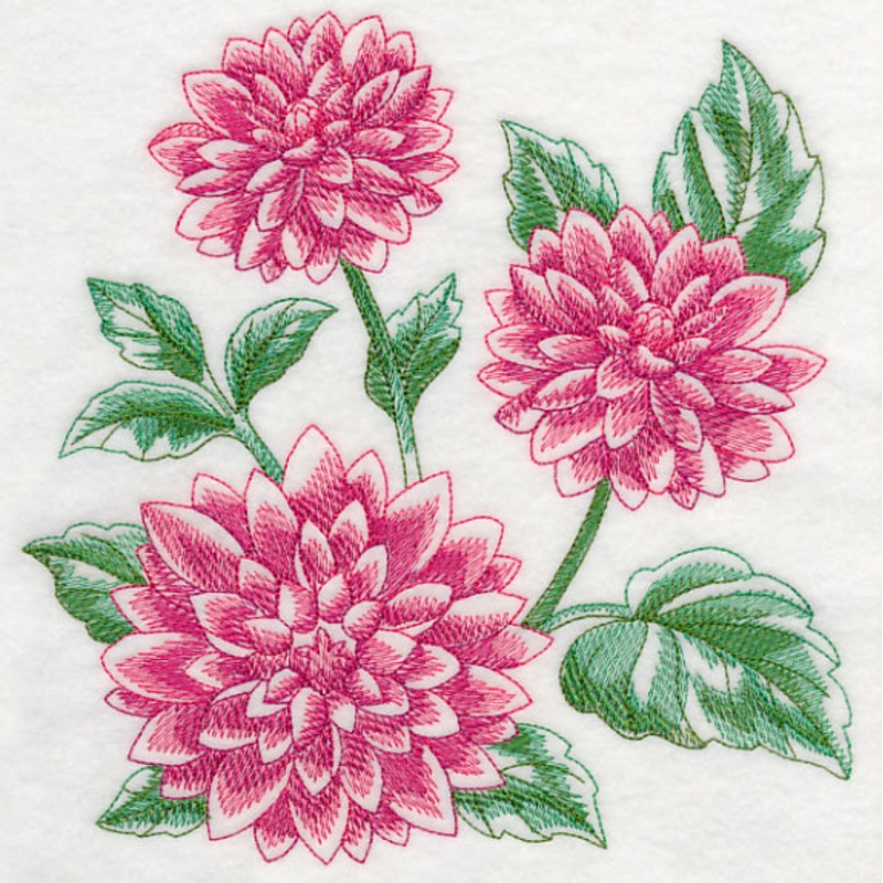 Dahlia Sketch|7.8″ x 7.59″ / 198.12mm x 192.71mm|7.09″ x 6.9″ / 180.17mm x 175.25mm|6.01″ x 5.85″ / 152.75mm x 148.57mm|4.99″ x 4.85″ / 126.64mm x 123.15mm|3.85″ x 3.74″ / 97.79mm x 95.08mm|All Sizes